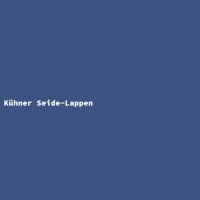 K&uuml;hner Seide-Lappen