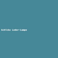Schicke Leder-Lampe