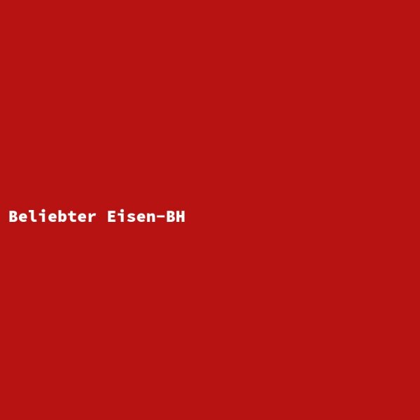 Beliebter Eisen-BH